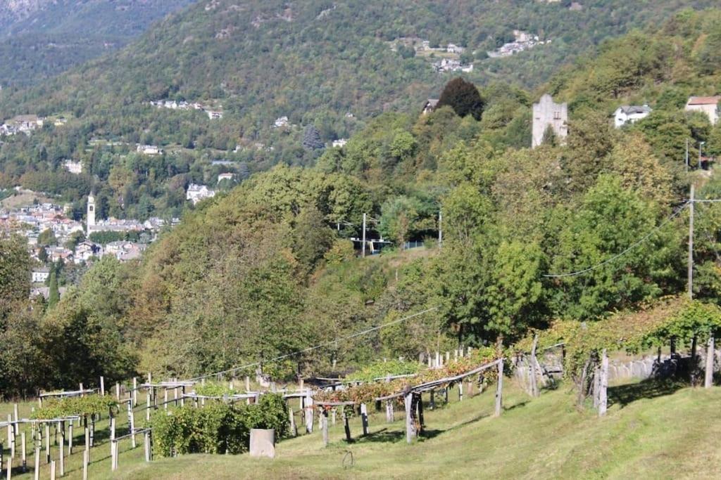 La Casa Nel Prunent Trontano Exteriér fotografie