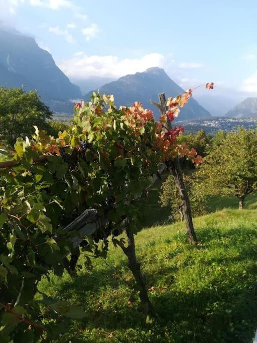 La Casa Nel Prunent Trontano Exteriér fotografie